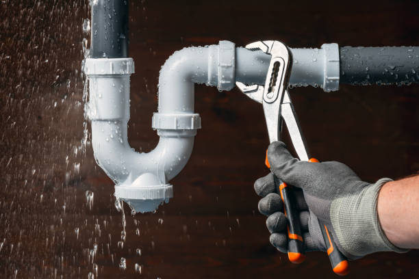 Professional Plumbing technician working in Blue Mound, IL